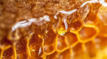 3 Unique Health Benefits of Honey