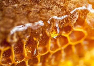 3 Unique Health Benefits of Honey